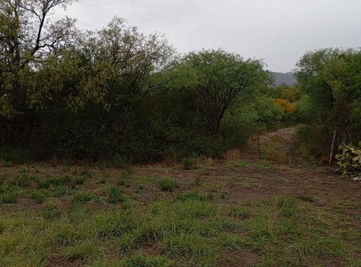 Terreno de 800 m² en Venta en Luján - 4