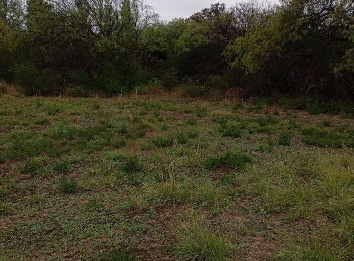 Terreno de 800 m² en Venta en Luján - 5