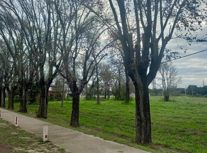Terreno de Una Hectárea en Ataliva - 2