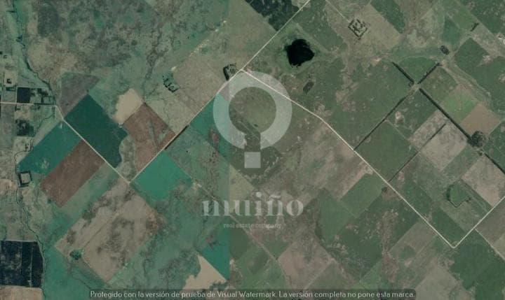Campo - Necochea - 2