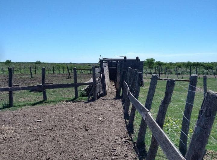 Campo en Venta de Aprox 600 Ha, en Cayastá, Santa Fe. - 4