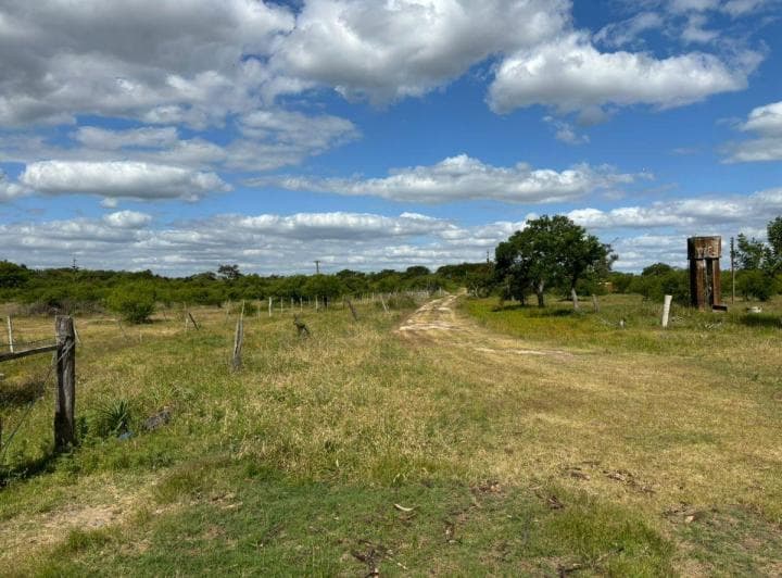 Campo en Venta de Aprox 600 Ha, en Cayastá, Santa Fe. - 2