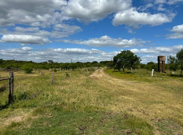 Campo en Venta de Aprox 600 Ha, en Cayastá, Santa Fe. - 5