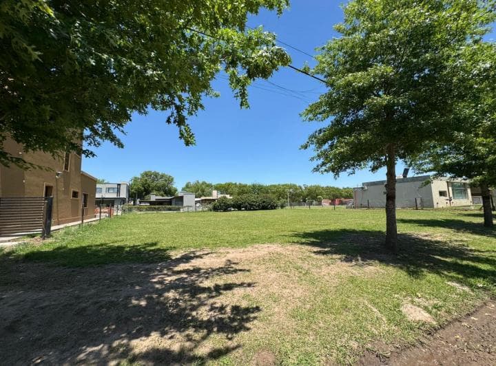 Lote - 5