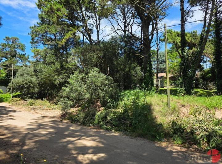 Terreno en Venta - Zona B5 - en Altura - Encantador Entorno - 2