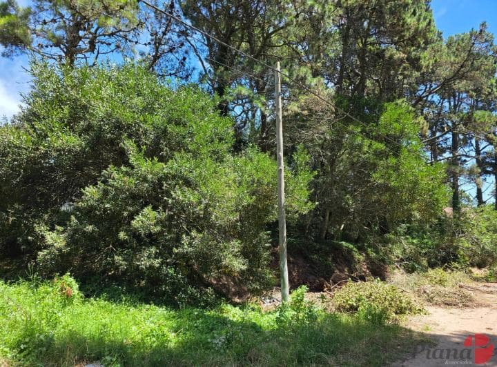 Terreno en Venta - Zona B5 - en Altura - Encantador Entorno - 3