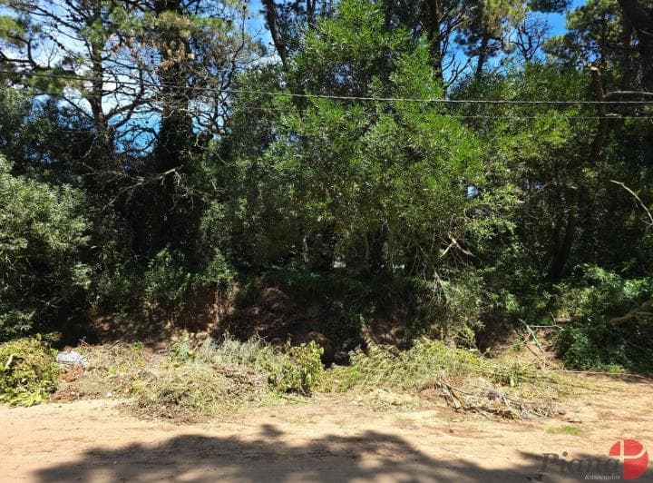 Terreno en Venta - Zona B5 - en Altura - Encantador Entorno - 4