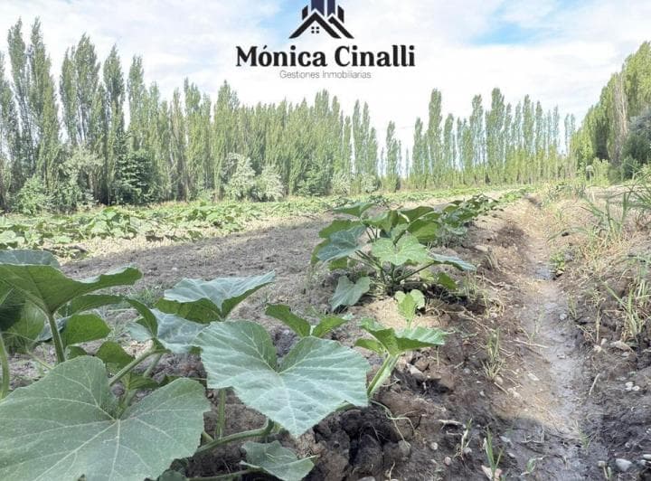 Terreno en Chichinales - 2