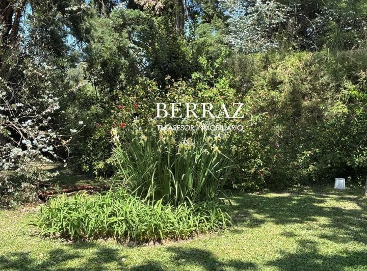 Venta Terreno San Francisco Manzanares Lote de 1353 m&sup2; - 4