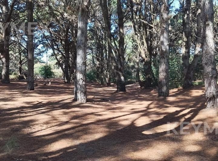 Terrenos en Venta. Costa del Este. La Reserva 100 m del Mar. un Lugar Soñado - 5