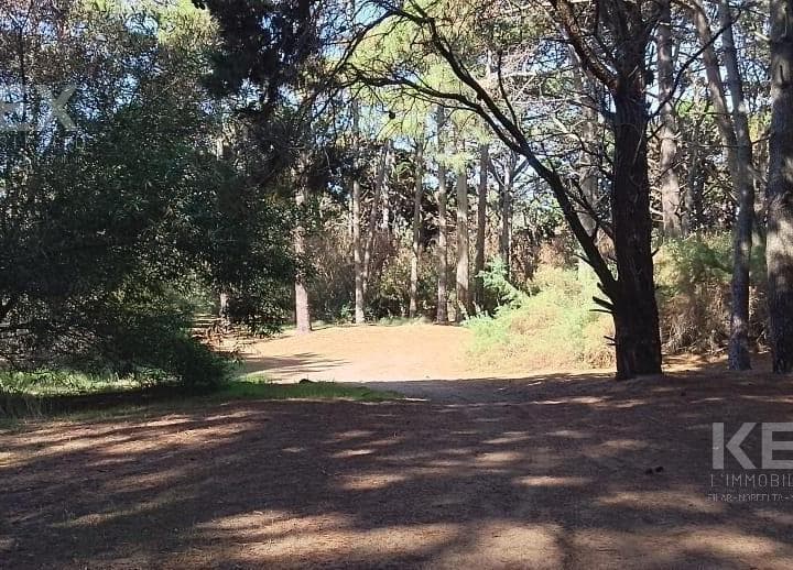 Terrenos en Venta. Costa del Este. La Reserva 100 m del Mar. un Lugar Soñado - 3