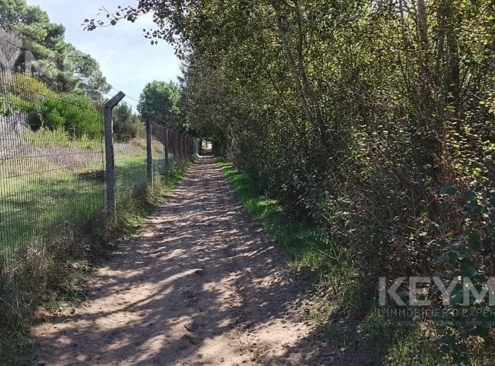 Terrenos en Venta - Barrio La Reserva - Costa del Este - 3