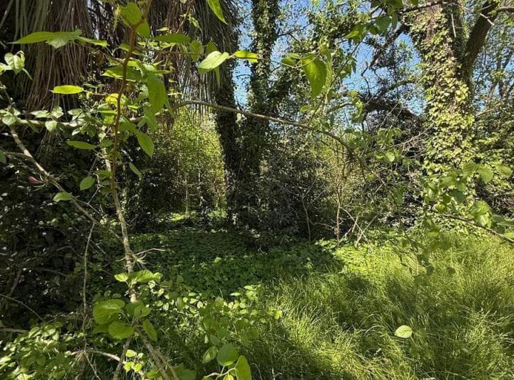 Lote en Venta Parque Las Naciones Guernica - 2