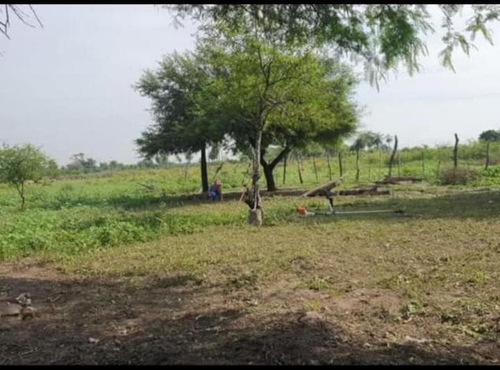 Vendo Campo 7,3 Hectáreas San Cayetano Corrientes - 2