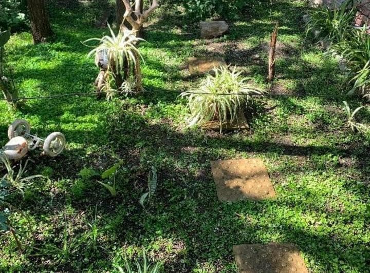 PH Al Frente 2 Ambientes con Jardín en Merlo – Apta Crédito - 2