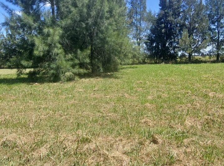 Lote en Venta Ecobarrio El Retiro Brandsen - 3