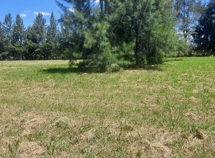 Lote en Venta Ecobarrio El Retiro Brandsen - 4