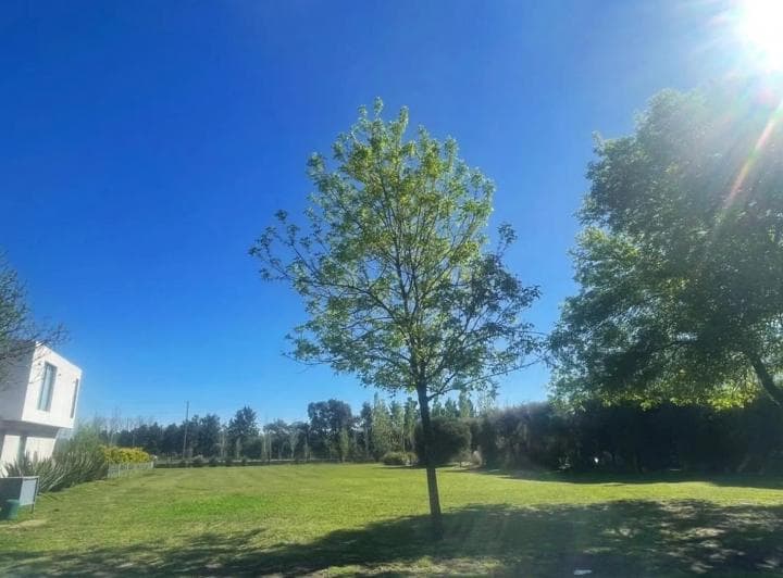 Terreno en Venta - 4