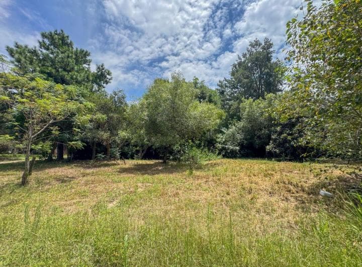 Lote de 465 m² en Arroyo Leyes – Las Acacias Esquina Gavilán - 5