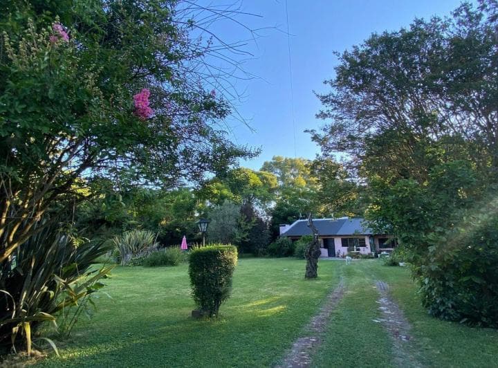 Casa Mas Departamento en Arturo Segui con un Lote de 43x43 Totalmente Arbolado. - 2
