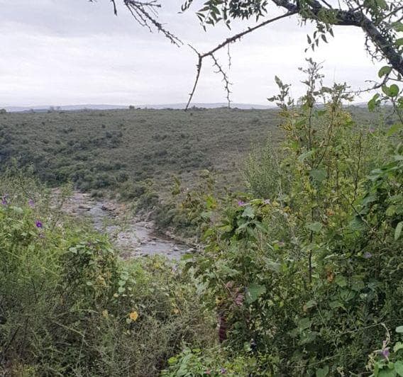 Campo con 50ha en Venta en Cosquín, con Río - 5