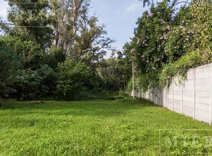 Excelente Terreno Comercial en Venta - 5