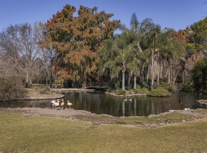Chacra en Venta en Villa Rosa, Pilar - 5