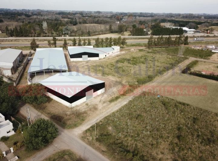 Nave de 2.400 m² a Estrenar Sobre La Ruta 5, Mercedes - 2
