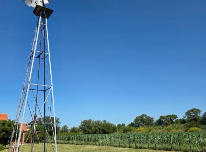 Venta Campo Agricola con Casa y Galpon 118 Has Cno60 Cuadras - 5