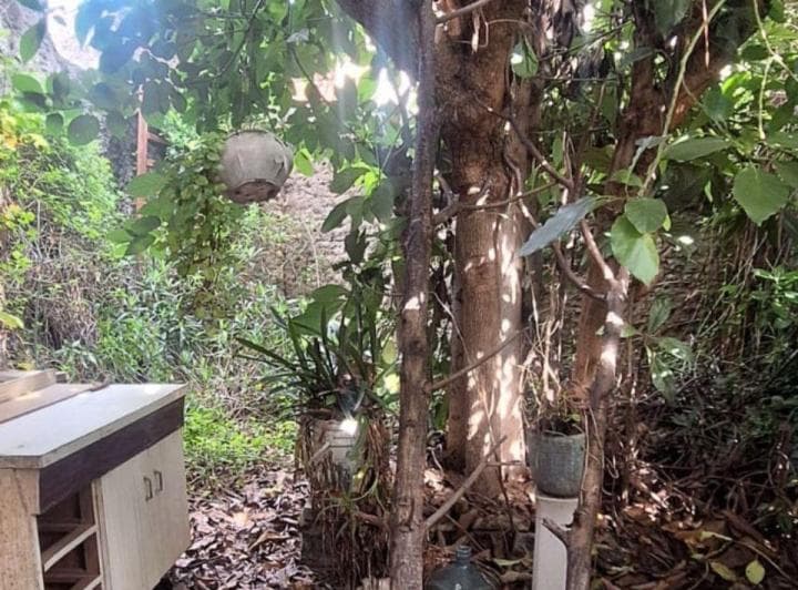 Venta de Amplio Lote a Demoler en San Andres - 2