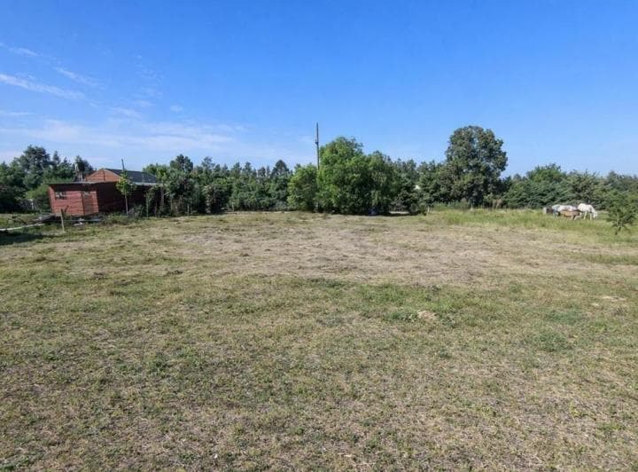 Venta – Lote 600 m² | General Alvear, Entre Ríos - 2