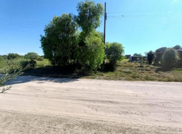 Venta – Lote 600 m² | General Alvear, Entre Ríos - 3