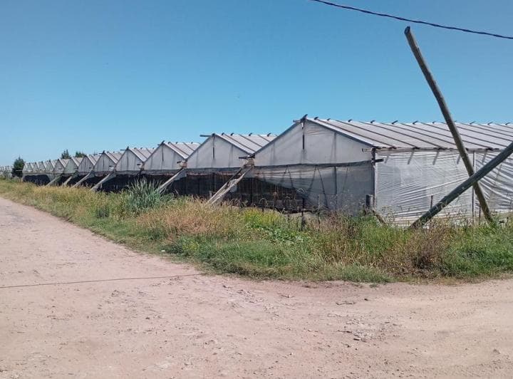 Terreno en Los Hornos - 4