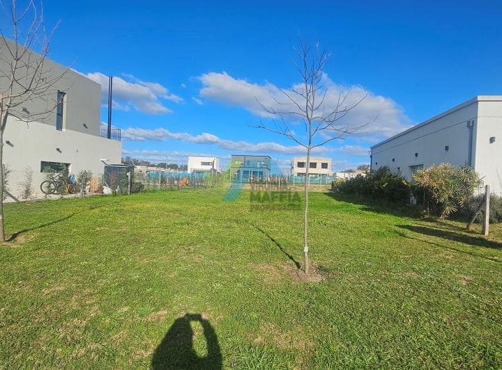 Terreno Lote en Venta en Santa Lucia, Pilar del Este, Pilar - 5
