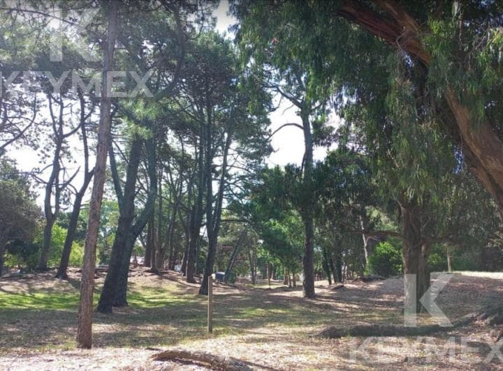 Departamento en Venta o Permuta | 2 Dorm. | San Bernardo - 4