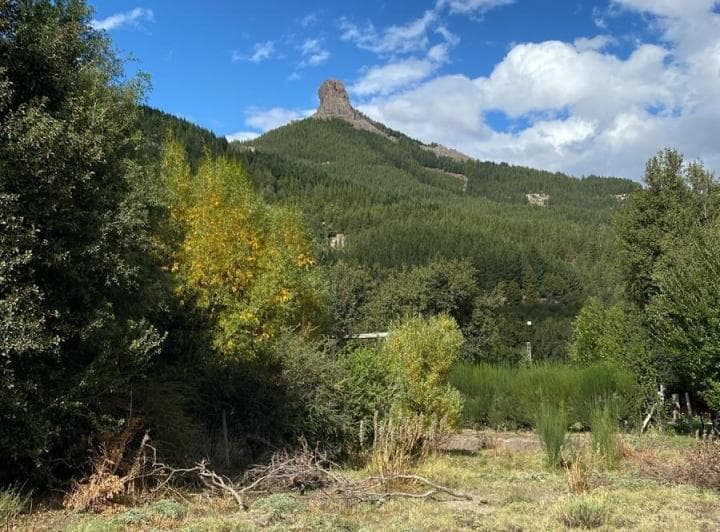 Lote en Meliquina a 100 m de La Ruta | Plano y con Asfalto en Desarrollo - Villa Lago Meliquina - 4