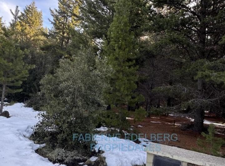 Terreno Retasado en Venta en El Pegual 4300 m² - San Martin de Los Andes - 2