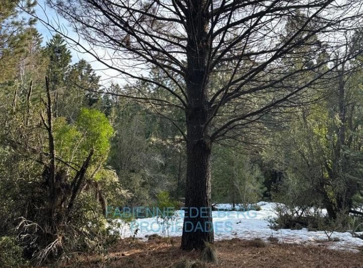 Terreno Retasado en Venta en El Pegual 4300 m² - San Martin de Los Andes - 5