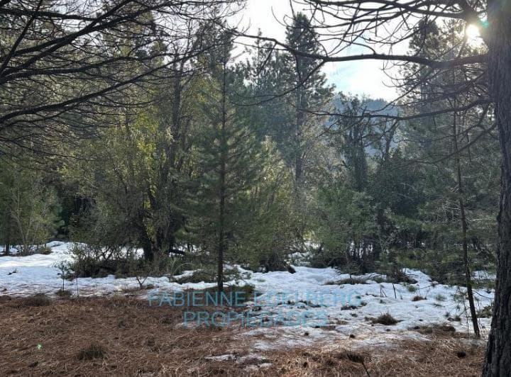 Terreno Retasado en Venta en El Pegual 4300 m² - San Martin de Los Andes - 4
