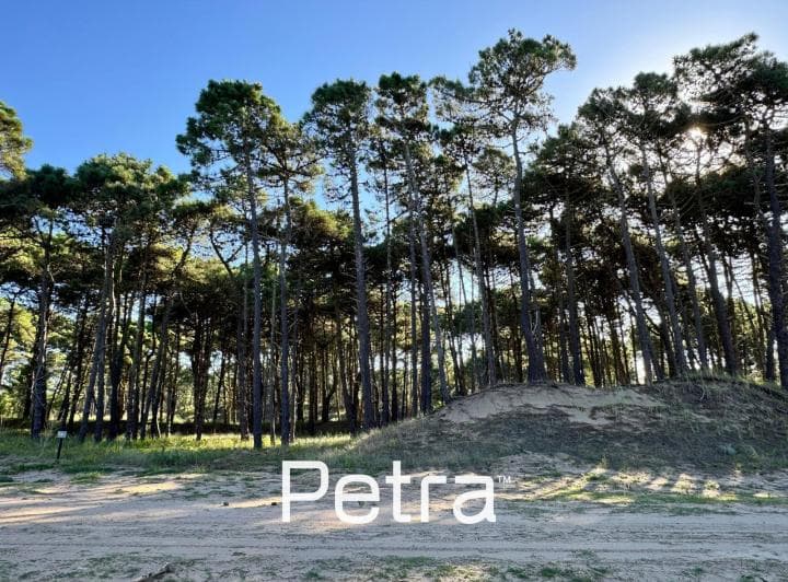 Terreno en Pinamar Norte - 4