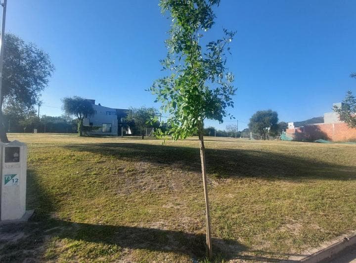 Terreno en Tejas 4 Etapa 2. Zona Consolidada. - 2