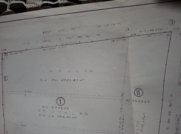 Quinta en Venta Sobre La Ruta 7, Santa Rosa de 3 Ha con Vivienda - 2