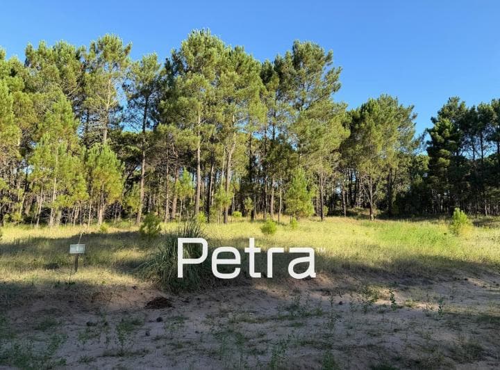 Terreno en Venta en Pinamar. Barrio Bosques - 2
