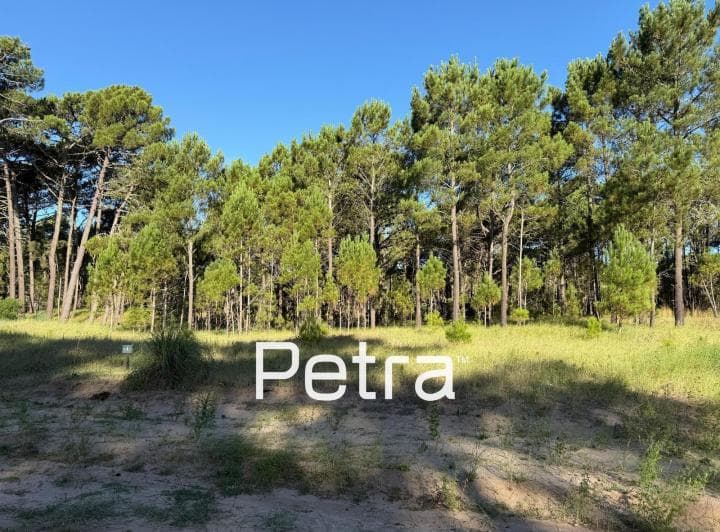 Terreno en Venta en Pinamar. Barrio Bosques - 3