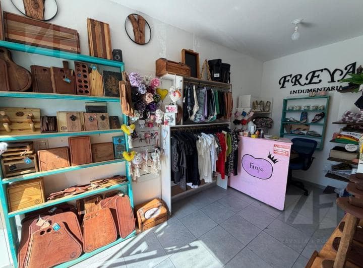 Local Comercial a La Calle con Renta en Alberdi - 4