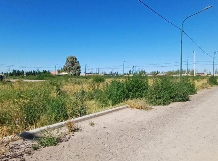 Terreno de 360 m² en Venta en Catalpa - Fernández Oro - 2