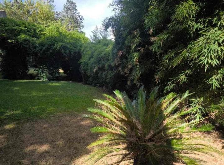 Lote en Venta, Villa Udaondo - 3