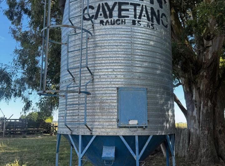 Campo Ganadero - 284has - 0.80 en Vaca - Luz Eléctrica - 4