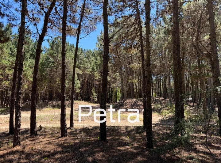 Terreno en Venta en Villarobles. Serena Lote 148 - 5