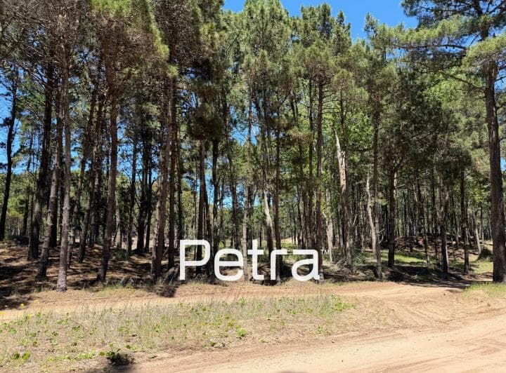 Terreno en Venta en Villarobles. Serena Lote 148 - 2